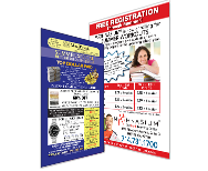 Small Flyers